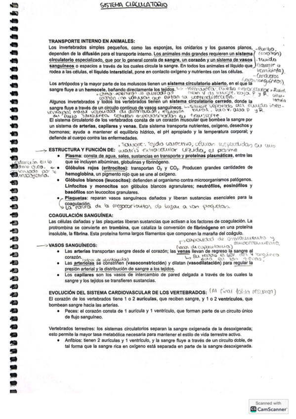 Miniatura del documento Sistema-circulatorio.pdf