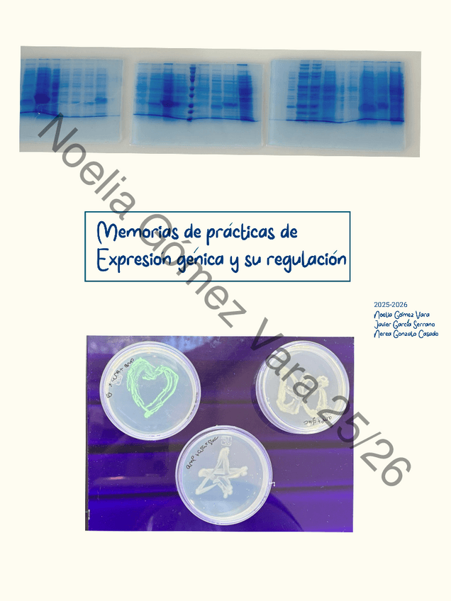 Miniatura del documento practicas-resueltas-expresion-genica-y-su-regulacion.pdf