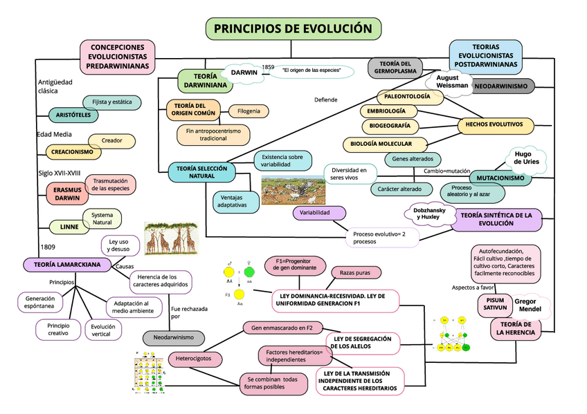 Miniatura del documento Mapa-Conceptual-Tema-1-1.pdf