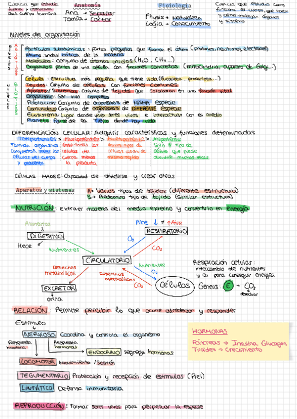 Miniatura del documento Biologia-huamana-T1.pdf