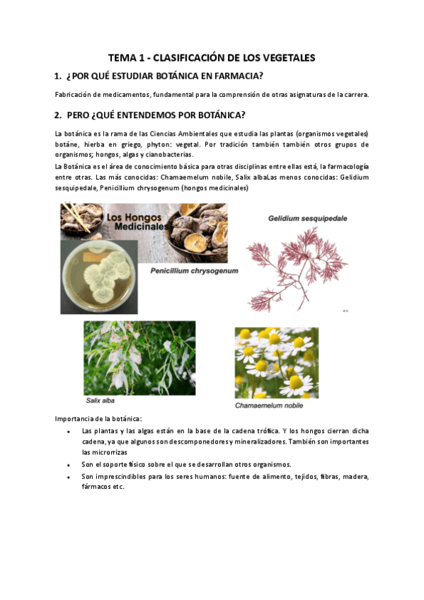 Miniatura del documento Apuntes-Botanica-TODO.pdf