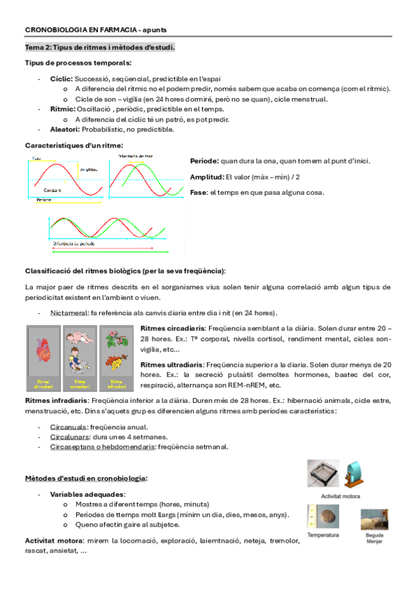 Miniatura del documento Tema-2-Tipus-de-ritmes-i-metodes-destudi..pdf
