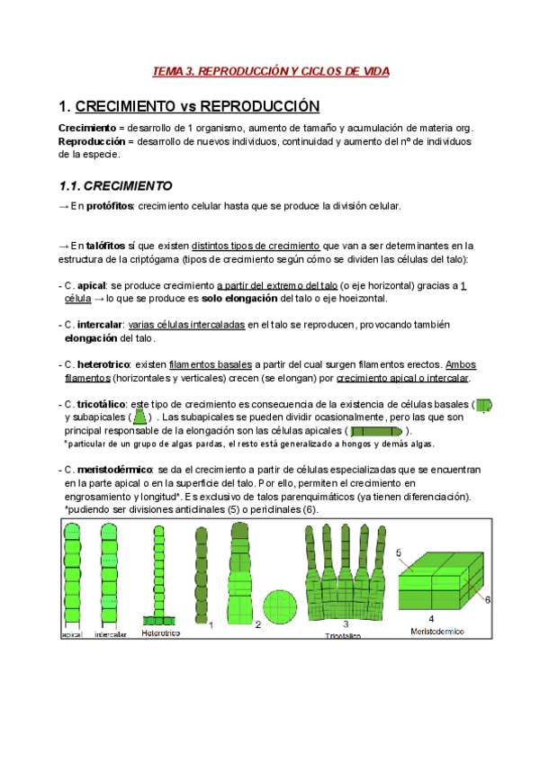 Miniatura del documento BOT T3. Reproduccion y ciclos de vida.pdf