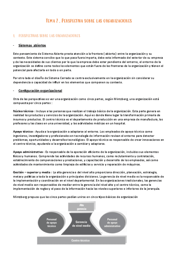 Miniatura del documento TEMA-2.pdf