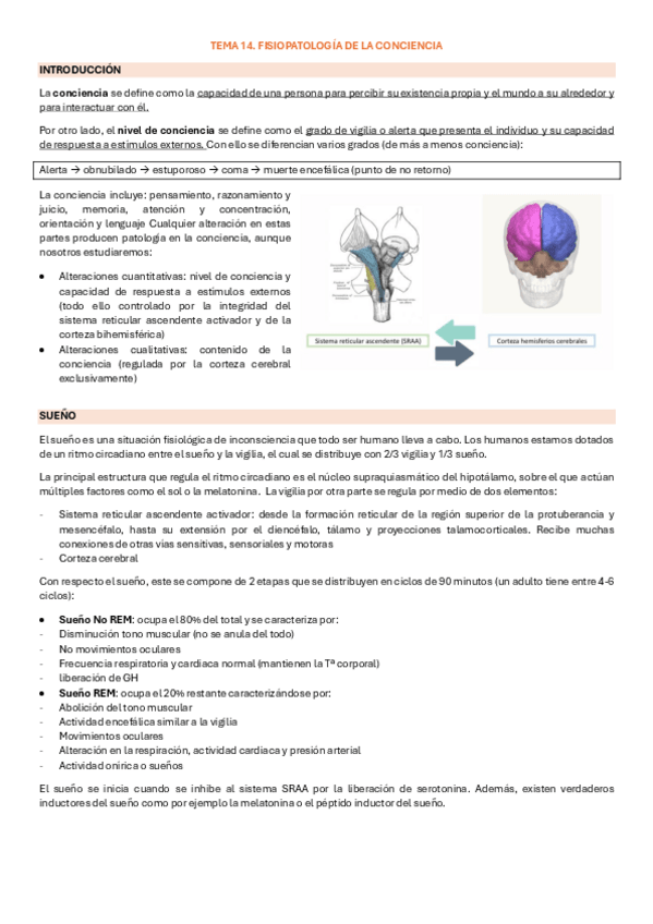 Miniatura del documento fisiopatologia-de-la-conciencia.pdf