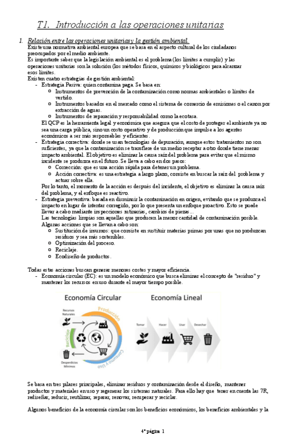 Miniatura del documento Tema-1-APUNTES.pdf