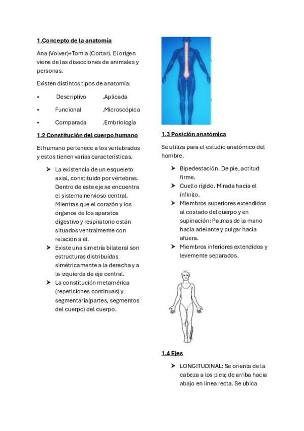 Miniatura del documento ANATOMIA-TEMA-1.pdf