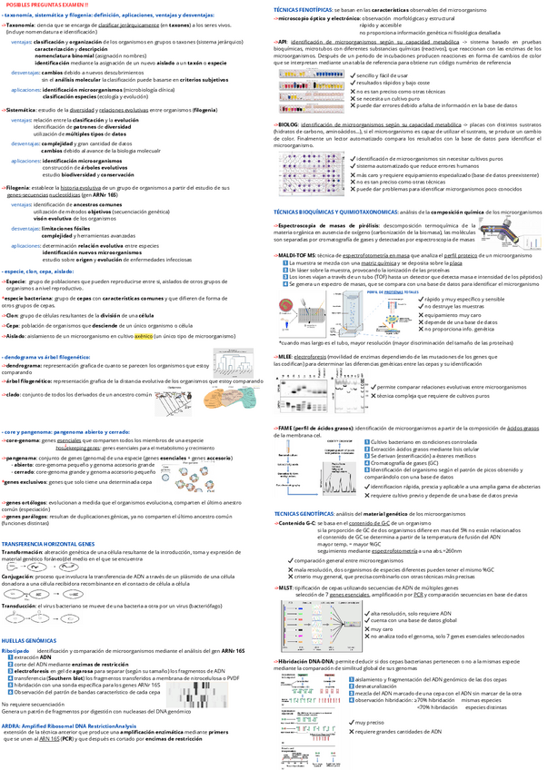 Miniatura del documento Clave-UD.1-diversidad-procariota.pdf