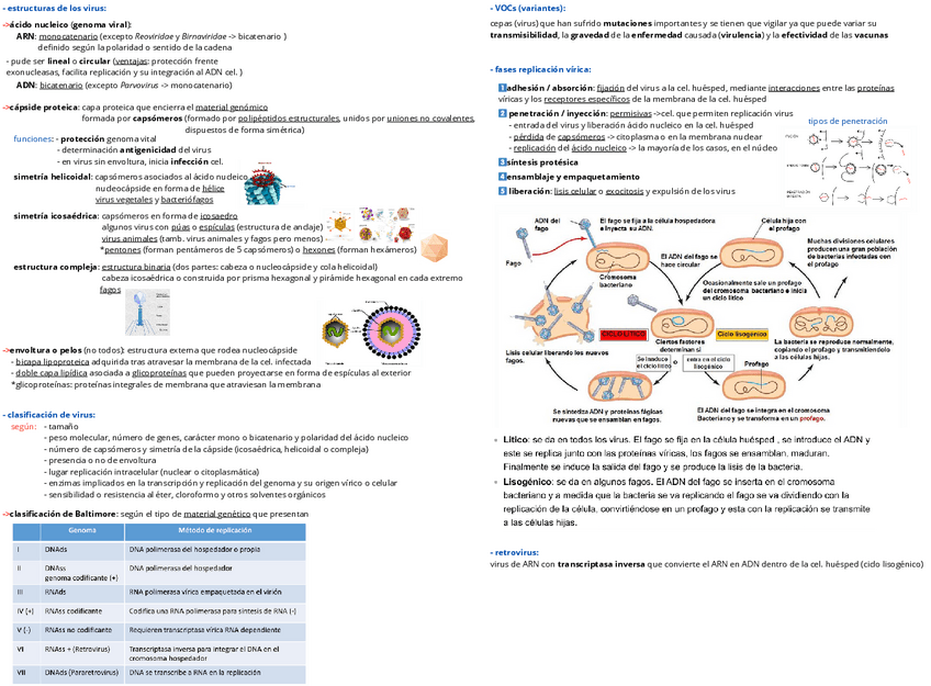 Miniatura del documento Clave-UD.2-Virus.pdf