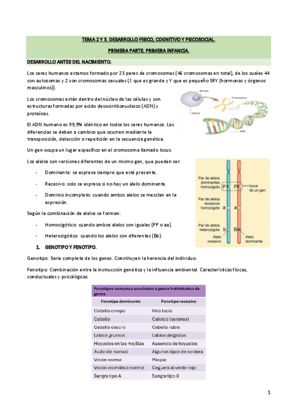Miniatura del documento TEMA-2-Y-3.-DESARROLLO-FISICO-COGNITIVO-Y-PSICOSOCIAL.pdf