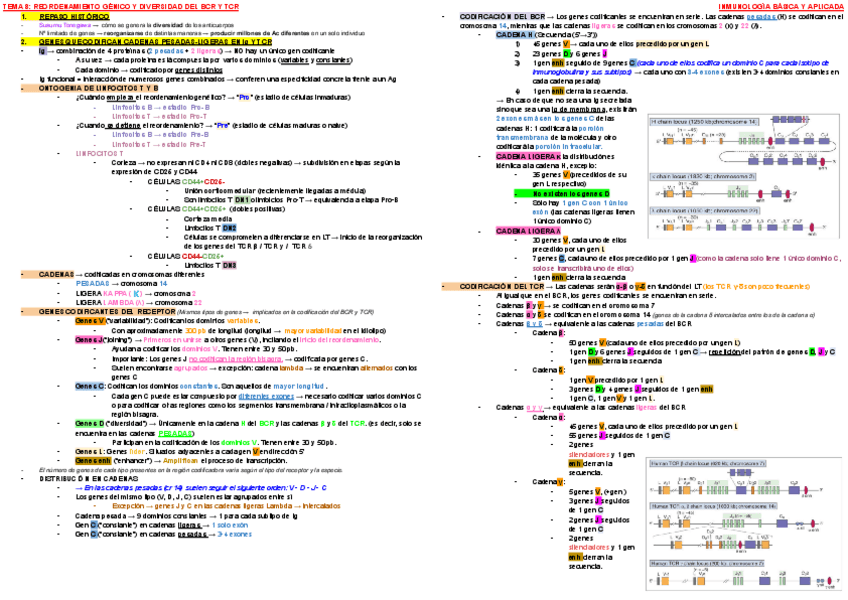 Miniatura del documento ESQUEMA-TEMA-8-INMUNO.pdf