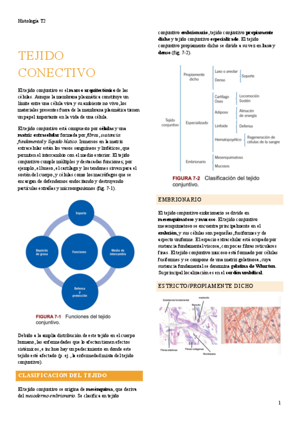 Miniatura del documento Tejido-conectivo-T2.pdf