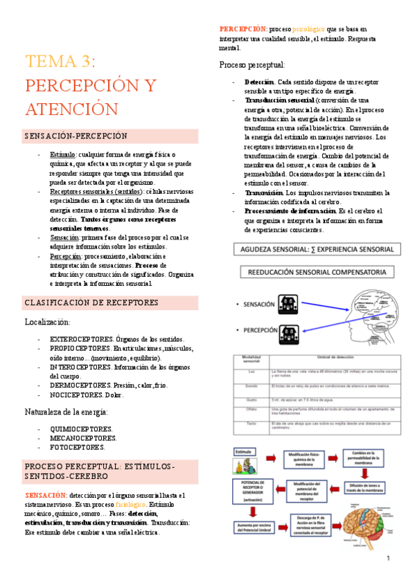 Miniatura del documento T3-Psicologia.pdf