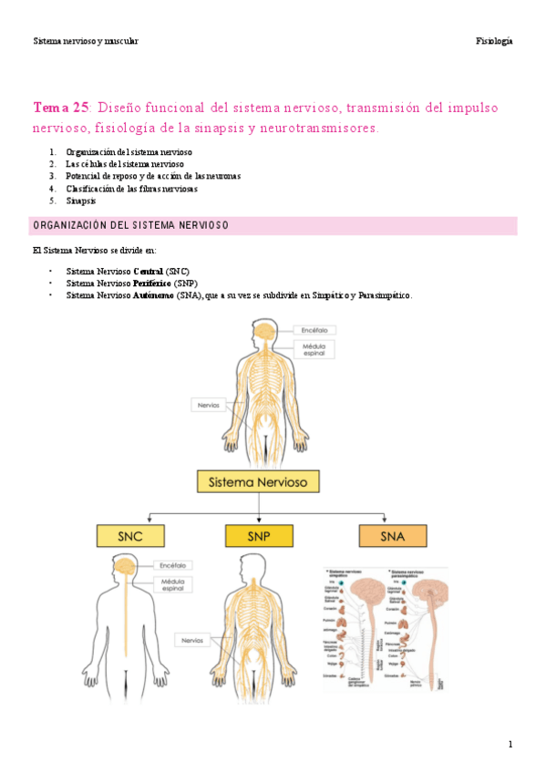Miniatura del documento T25-SN.pdf