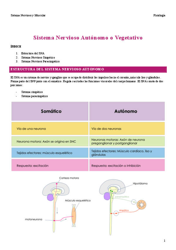 Miniatura del documento T31-SNA.pdf
