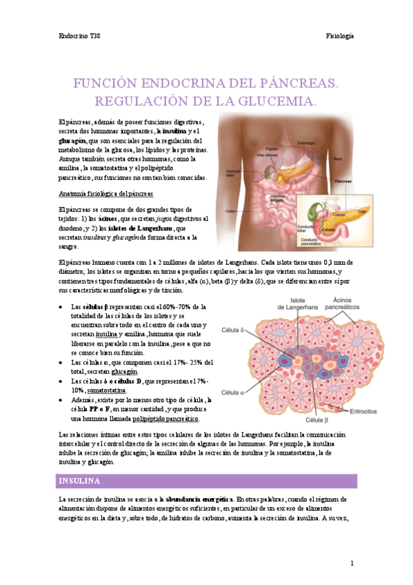 Miniatura del documento T38-Endocrino.pdf