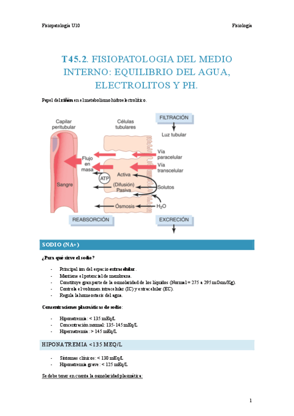 Miniatura del documento T45.2-Fisiopato.pdf