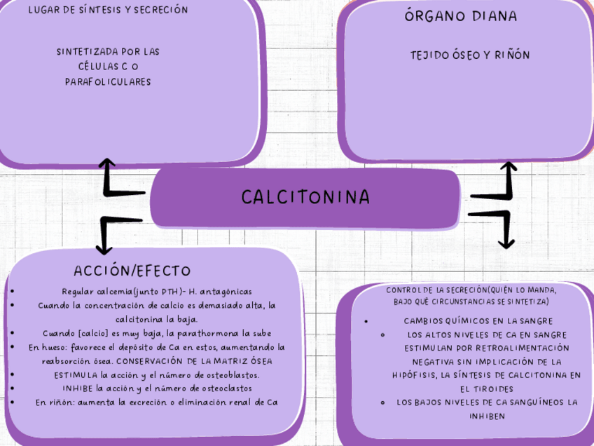 Miniatura del documento hormonas-2.pdf