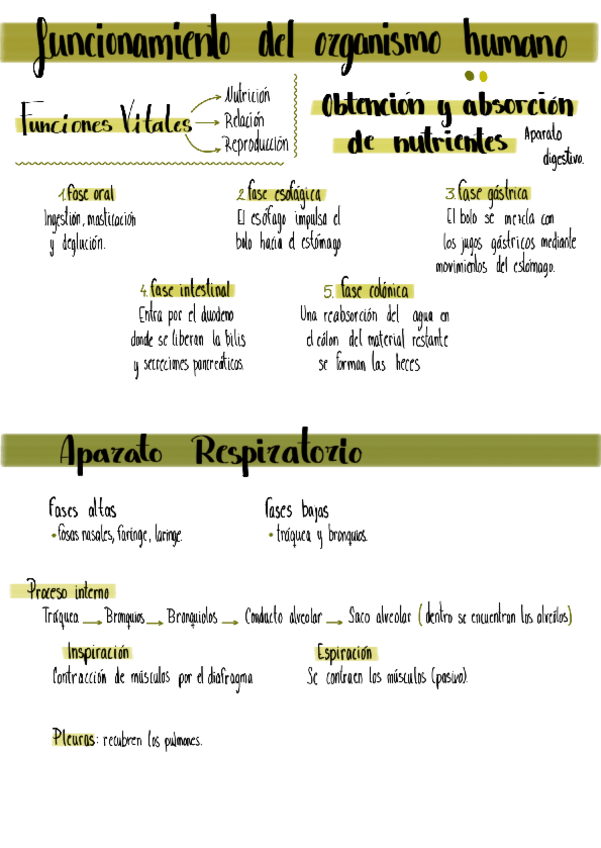 Miniatura del documento tema-1-y-aparatos.pdf