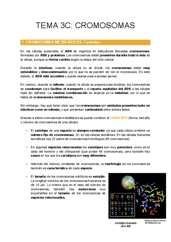 Miniatura del documento TEMA-3C-CROMOSOMAS.pdf