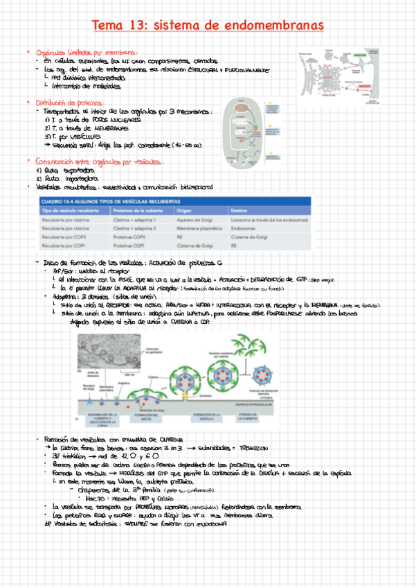 Miniatura del documento Tema-13.pdf