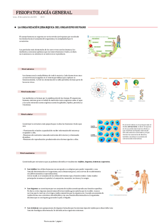 Miniatura del documento FISIOPATOLOGIA-GENERAL-LA-ORGANIZACION-JERARQUICA-DEL-ORGANISMO-HUMANO.pdf