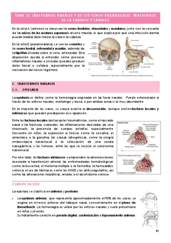Miniatura del documento TEMA-13-TRASTORNOS-NASALES-Y-DE-LOS-SENOS-PARANASALES.-TRASTORNOS-DE-LA-FARINGE-Y-LARINGE.pdf