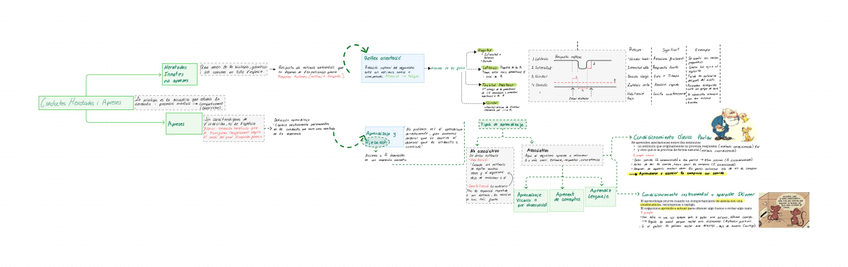 Miniatura del documento Tema-1-conductes-heretades-i-apreses-2.jpg