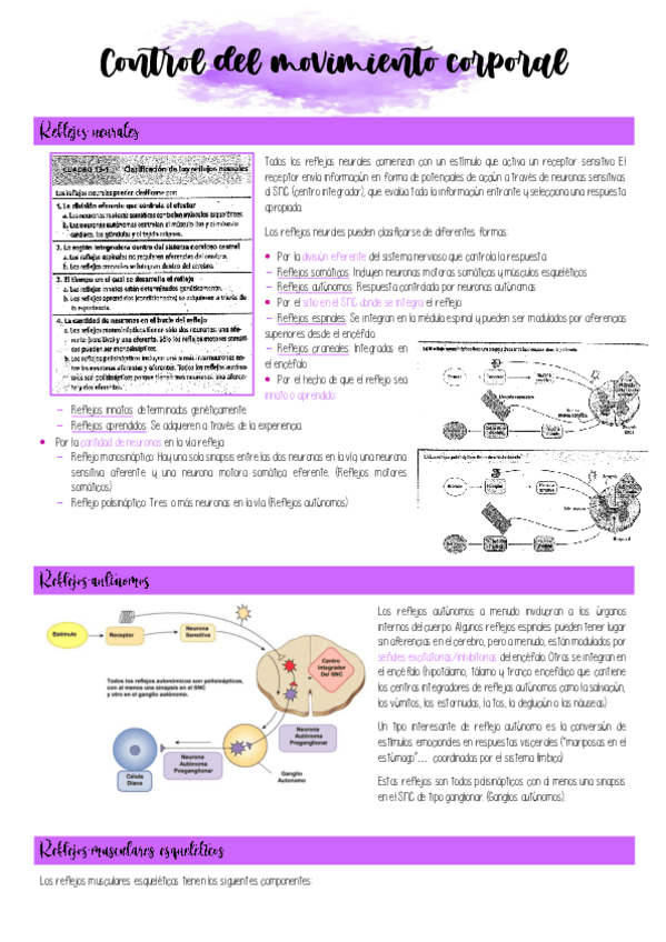 Miniatura del documento 5.-CONTROL-DEL-MOVIMIENTO-CORPORAL.pdf
