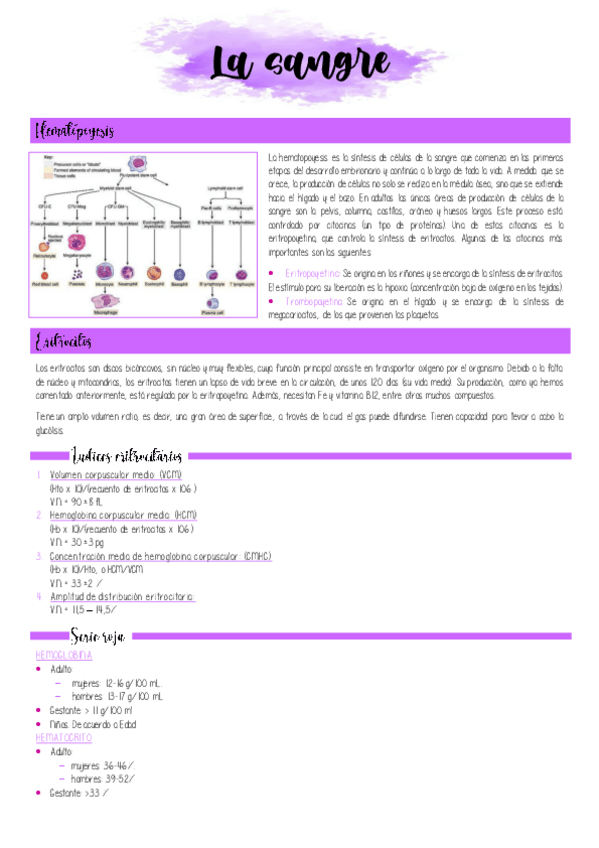 Miniatura del documento 7.-La-sangre.pdf