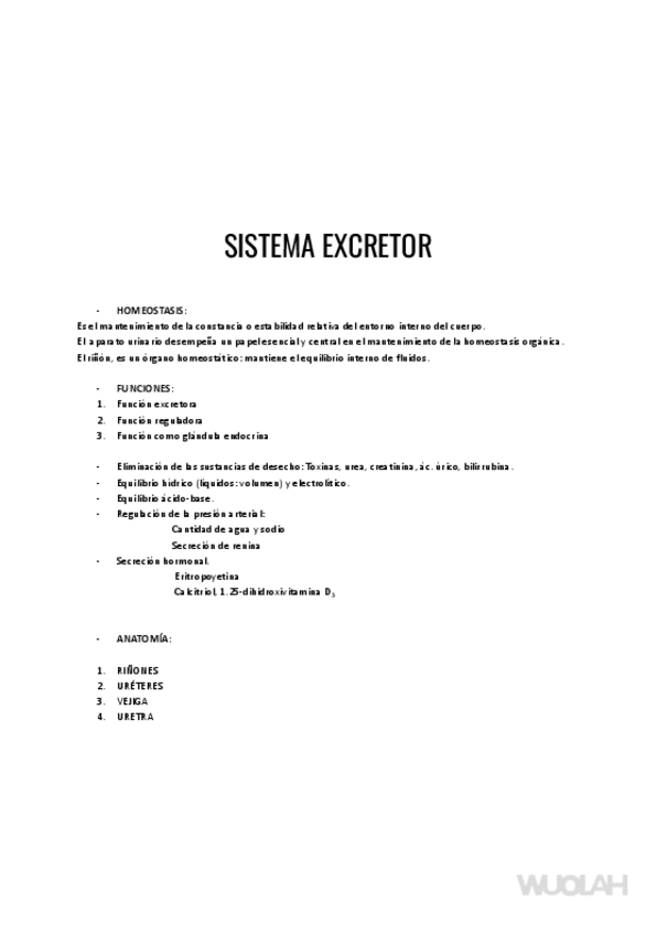 Miniatura del documento 2-parcial-apuntes.pdf