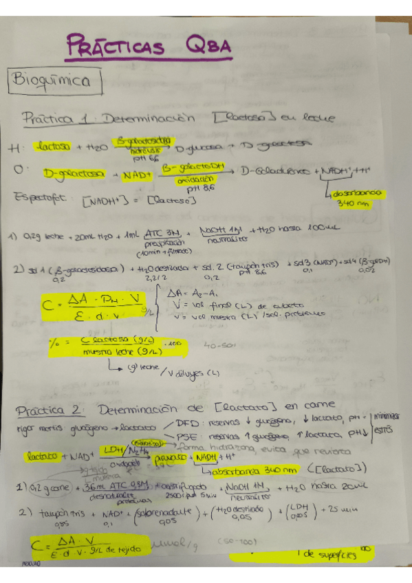 Miniatura del documento PRACTICA-QBA.pdf