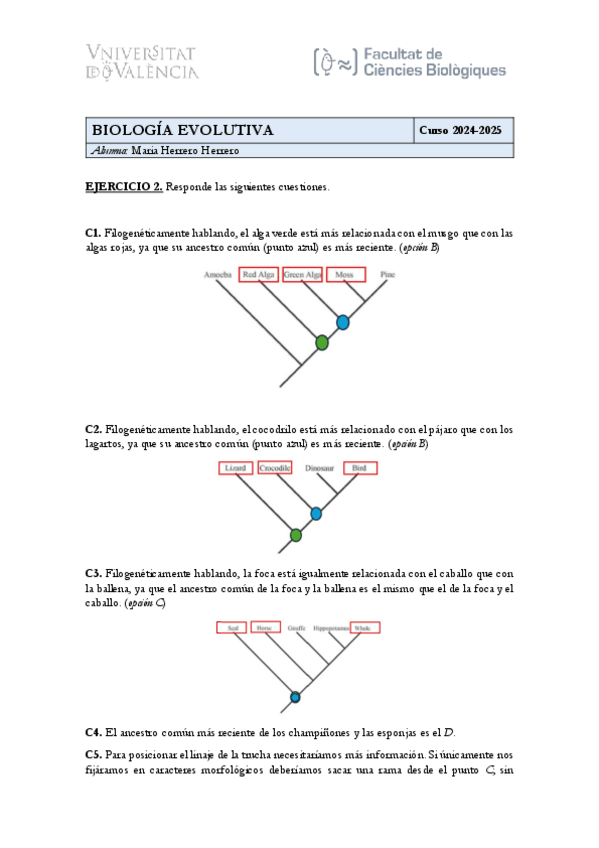 Miniatura del documento Ejercicio-2.pdf