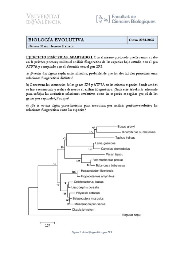 Miniatura del documento Practica-Informatica.pdf