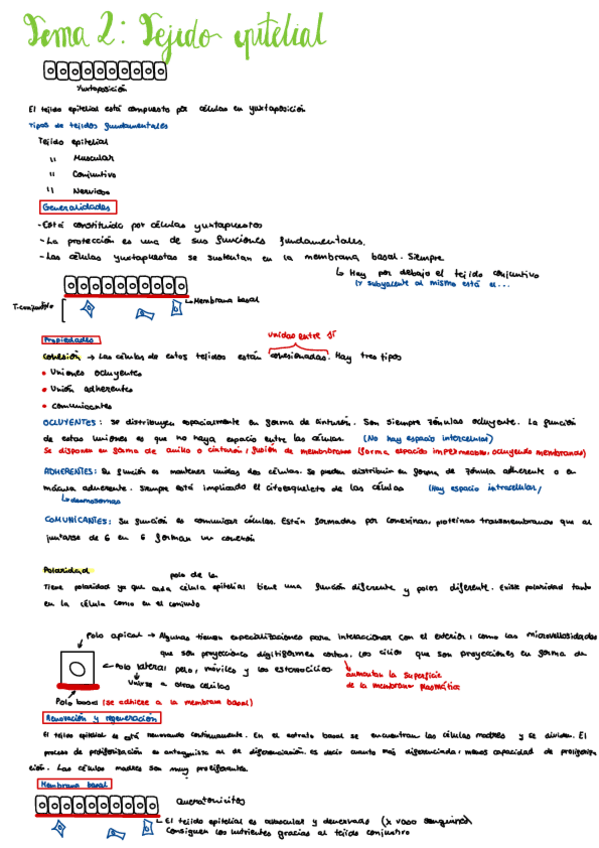 Miniatura del documento TEMA-2-HISTOLOGIA.pdf