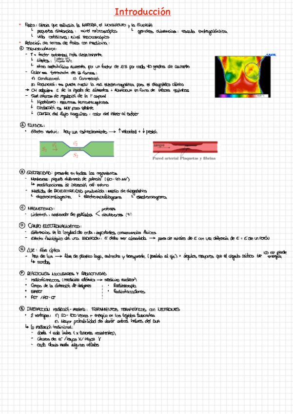 Miniatura del documento introduccion.pdf