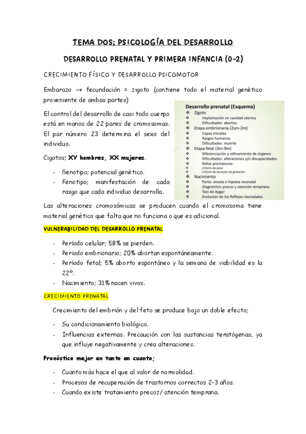 Miniatura del documento tema-2-p-desarrollo.pdf