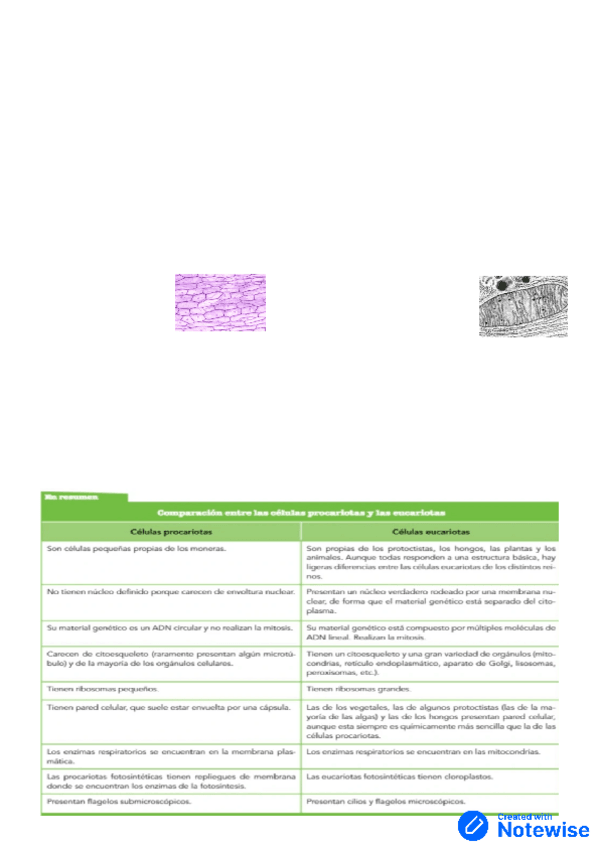 Miniatura del documento apuntes-biologia-tema-6.pdf