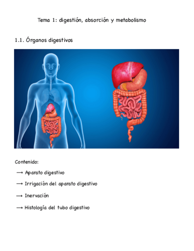 Miniatura del documento T1.1.-digestion-absorcion-y-metabolismo-organos-digestivos.pdf