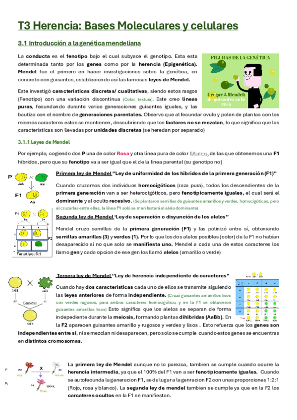 Miniatura del documento T3-PSICOBIO.pdf