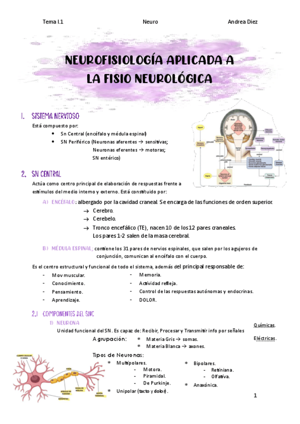 Miniatura del documento Tema-I.1-Neurofisiologia-aplicada-a-la-fisioterapia-neurologica.pdf