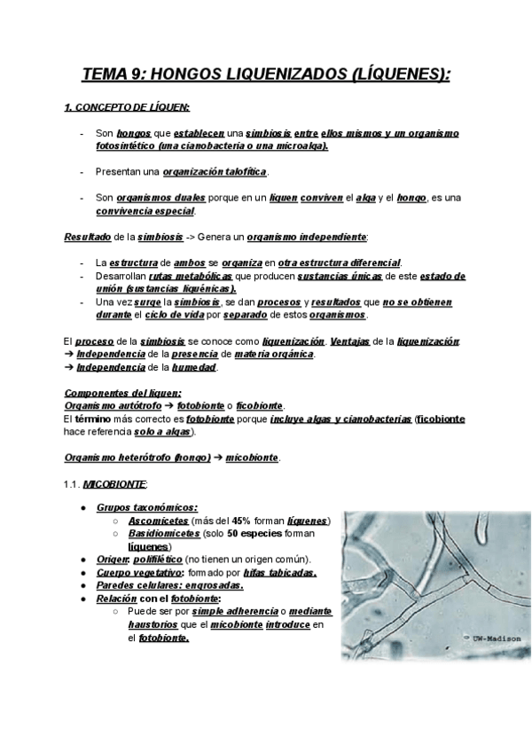 Miniatura del documento BOTANICA-1-TEMA-9-HONGOS-LIQUENIZADOS-LIQUENES.pdf