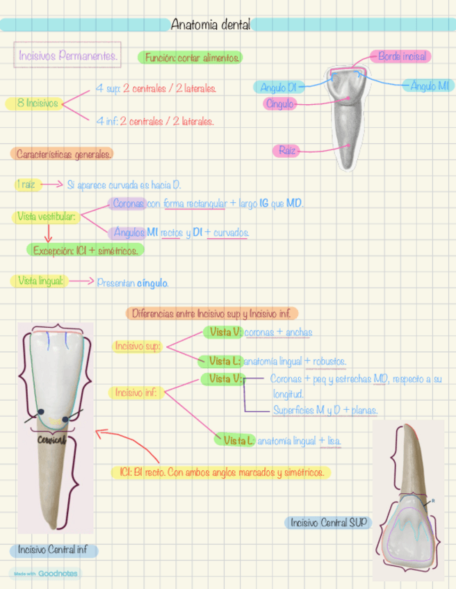 Miniatura del documento Tema-1.pdf