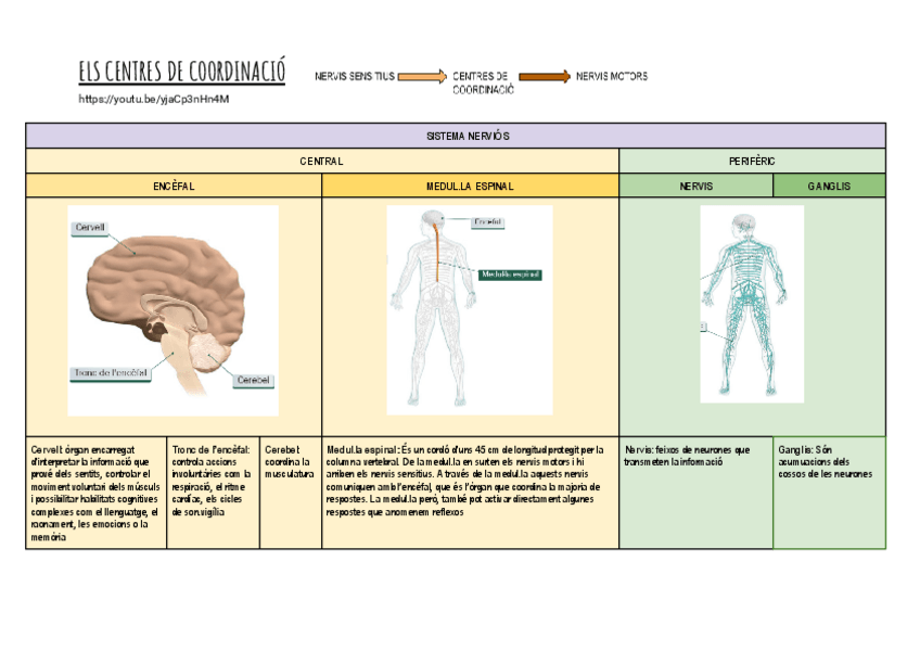 Miniatura del documento Copia-de-3.-ELS-CENTRES-DE-COORDINACIO.pdf