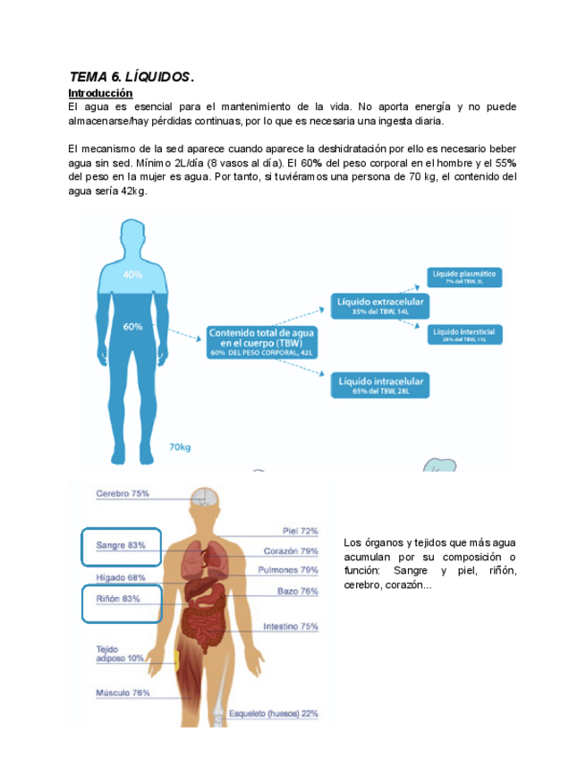 Miniatura del documento TEMA-6-nutri.pdf