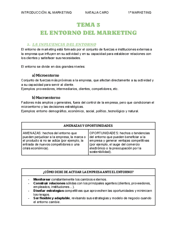 Miniatura del documento APUNTES-TEMA-3-INTRODUCCION-AL-MARKETING.pdf