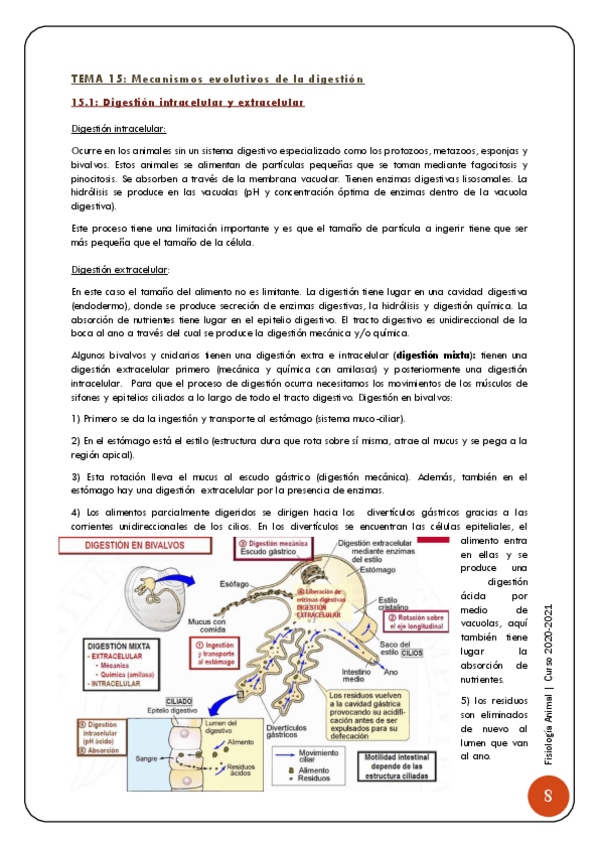 Miniatura del documento 4-Sistema-digestivo-9-23.pdf