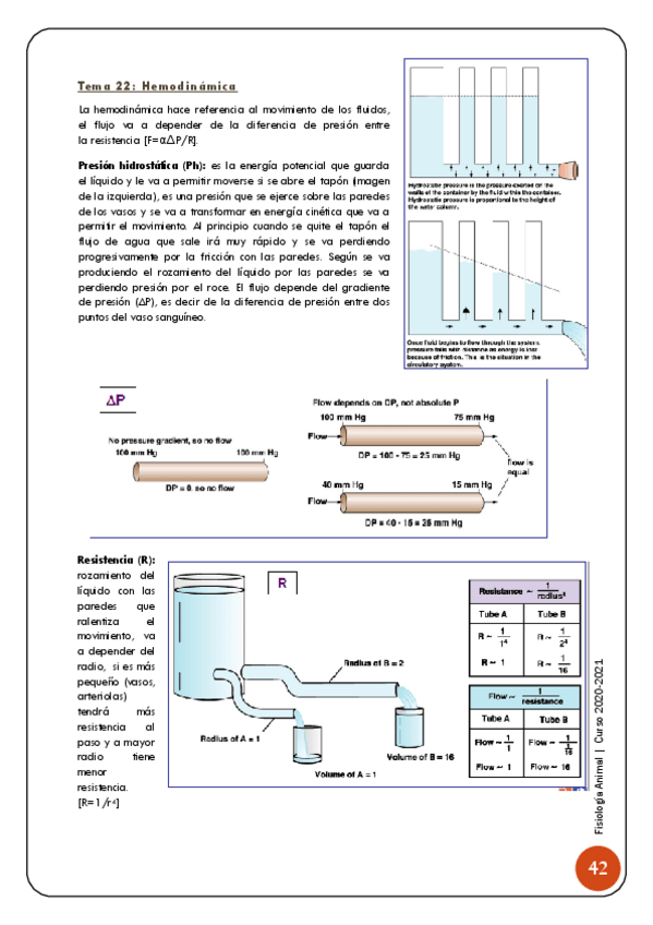 Miniatura del documento 6-Sistema-circulatorio-43-57.pdf