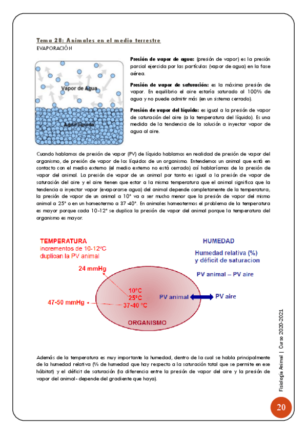 Miniatura del documento 8-Osmorregulacion-21-28.pdf