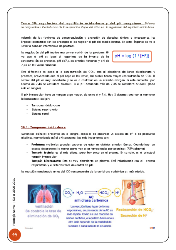 Miniatura del documento 8-Osmorregulacion-46-50.pdf